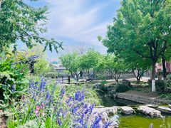 -三里河公园