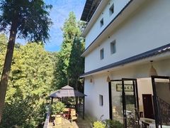 -碧峰峡风景区