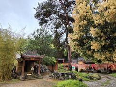 -黄山太平湖风景区