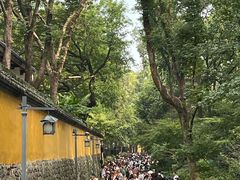-灵隐飞来峰景区