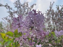 -元大都城垣遗址公园