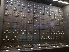 -北京周口店北京人遗址博物馆