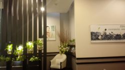 -史云逊养发护发