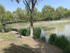 -西安浐灞国家湿地公园