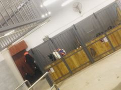 -骑乐马术(广州奥体优托邦中心)