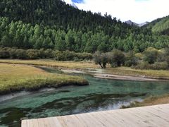 -稻城亚丁风景区-电瓶观光车售票处