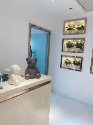 -MIVI野生眉纹绣纹眉