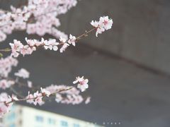 -北京华联购物中心(天通苑店)