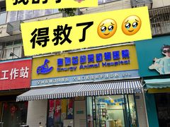 -总动员动物医院(宝丰院店)