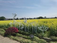 -西山漾湿地公园