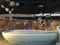 -上海长江河口科技馆
