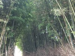 -贵州云顶草原民族风情园