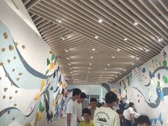 -超极限攀岩馆(六元素店)