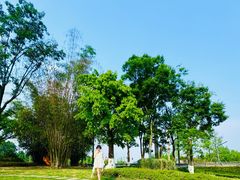 -桤木河湿地公园