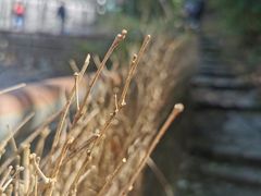 -千泷沟大瀑布旅游区