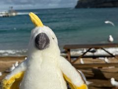 -12 Rocks Beach Bar Cafe