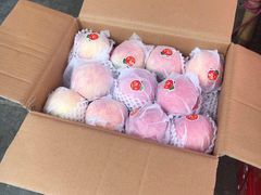 -双福水果批发市场