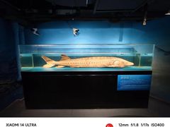 -国家自然博物馆