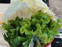 -老长春果木炭涮羊肉(东田·青年城店)