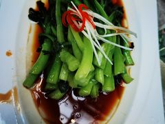 -大树餐厅(红旗街万达店)