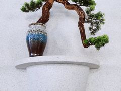-清晖小苑•顺德地方菜(壹海城店)