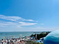 -海合安青岛极地海洋公园