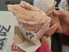 -野人先生现做冰淇淋(北京环宇荟店)