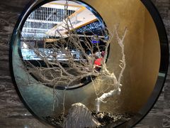 -红辣椒·川菜·火锅(张杨路店)