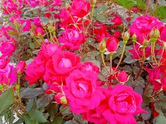 -漕溪路(地铁站)