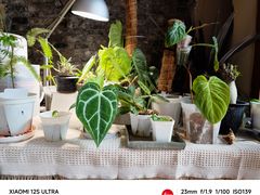 -About Bistro關於·泰式家庭料理