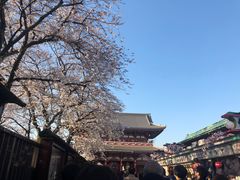 -浅草寺