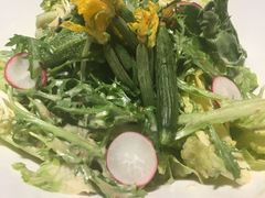 蔬菜色拉-上海小南国(国发店)