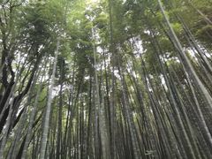 -同里国家湿地公园