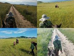 景点-塞罕坝国家级自然保护区