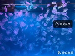 -多彩贵州城极地海洋世界