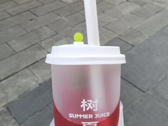 -树夏(锦里店)