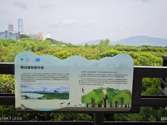 -福田红树林生态公园
