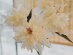 -听雨小筑茶舍(观音桥·龙湖新壹街店)