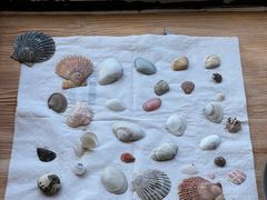 -ChanDu躔度咖啡(灯塔店)