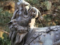 -北京动物园-畅观楼