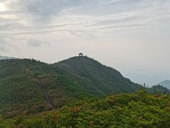 -大围山国家森林公园