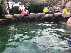 -徂徕山森林康养度假谷温泉
