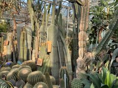 -国家植物园南园