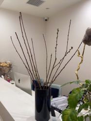 -加减美医美连锁品牌