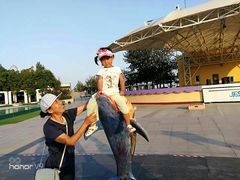 -秦皇岛乐岛海洋王国