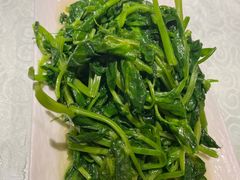 豌豆尖-盐帮食坊•小河帮川菜(四川师大店)