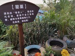 -西双版纳傣族园