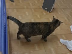 -上上签·冷锅串串(六灌路店)