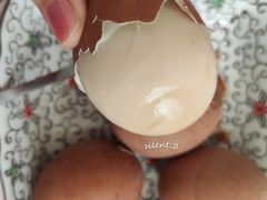 茶鸡蛋-田老师红烧肉(朝阳建外东区店)