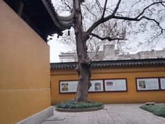 -西园戒幢律寺